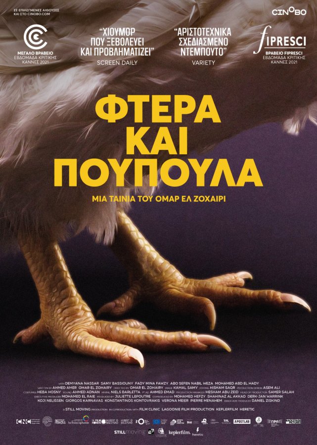 Feathers